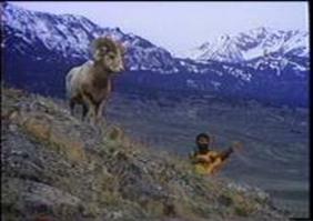 Big Horn Rams & Byron